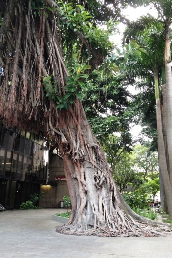 Condomínio Argentina. Empraçamento e acesso aberto para a Praça Chaim Weizmann