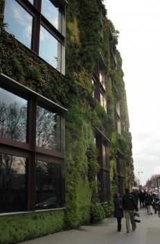 Um problema frequente de jardins verticais é o da irrigação e o controle exato da água necessária. Em Paris a água, além de ser desperdiçada, escorre pela calçada proporcionando um aspecto pouco agradável