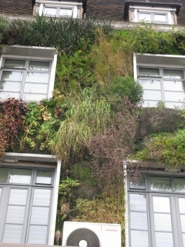 Detalhe da fachada de um tradicional Pub em Londres, projeto de Patrick Blanc, de 2009