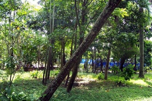 Interior da área de piquenique em 30 de março 2006. O desmonte se iniciaria na noite de 28 de abril de 2006