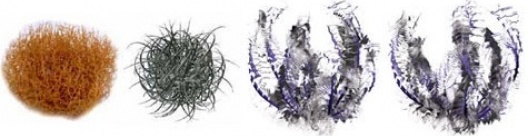 Dennis Dollens, Conceito Biomimético. Plantas desenvolvidas natural e digitalmente com XFrog como exemplo de observações bioniméticas que depois podem ser editadas e usadas para visualização 3D e manusedas no CAD/CAM