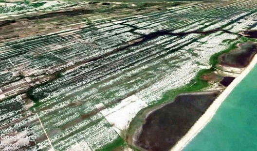 Parque Nacional da Restinga de Jurubatiba, Quissamã RJ