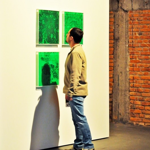 Gisela Motta & Leandro Lima, Circuito Impresso. Exposição Território de Contato, Sesc Pompeia, 2012