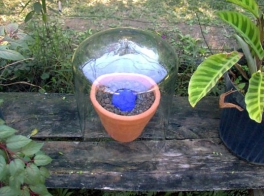 Fértil, 2003 - Materiais diversos, como areia tingida, terra, pigmento, madeira, cerâmica e vidro. Instalação na Fazenda Serrinha de Bragança Paulista