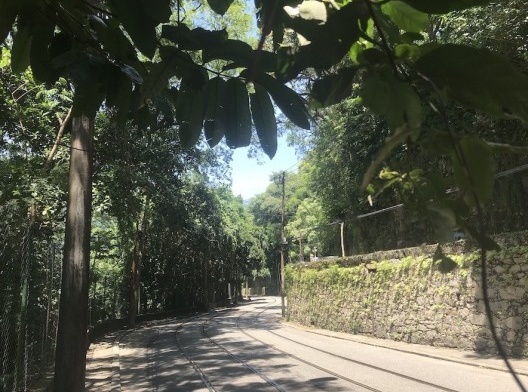 Rua Almirante Alexandrino no segmento em que margeia o Parque Nacional da Tijuca