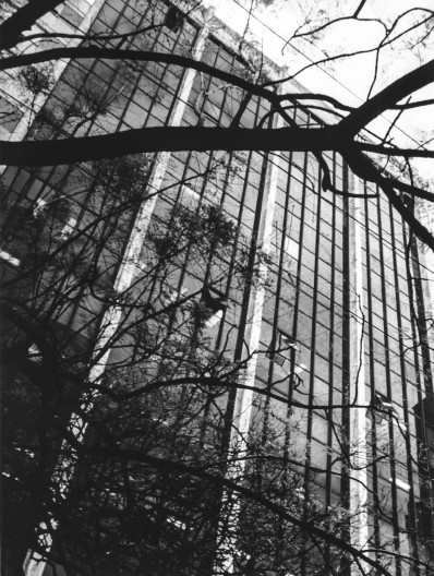 Ed. Esplanada dos Açores, 1979, Edgar Sirangelo do Valle & Sergio Luiz Matte