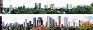 Figura 01 – Vistas panorâmicas do bairro de Casa Forte, com o skyline definido pelos edifícios: acima, dezembro de 1989; abaixo, outubro de 2004