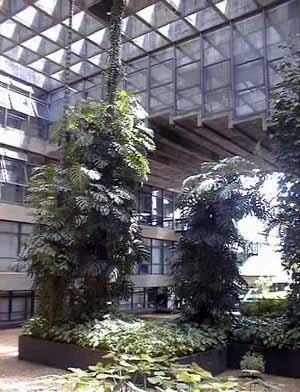 Sede da Reitoria da Universidade de Brasília, 1972. Arquitetos Paulo Zimbres, Vera Braun Galvão e Josué Macedo