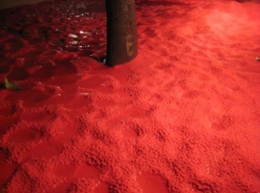 Vermelho-Pungente para Dona Christina, 2011. Areia tingida, espécies arbóreas e madeira queimada