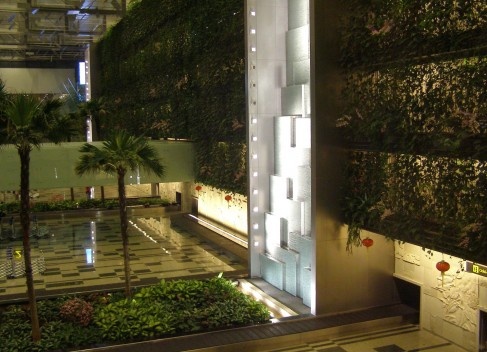 A cortina verde no Aeroporto Changi, de Cingapura