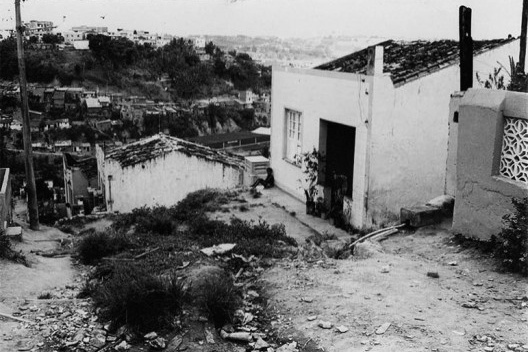Brongo do Pau Miúdo em Salvador BA