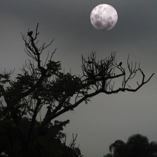 Luar em Moema, São Paulo