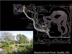 Sistema de lagoas de contenção e filtros