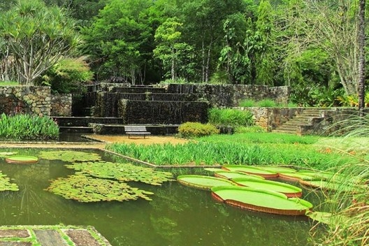 Jardim horizontal, Fazenda Vargem Grande, paisagista Roberto Burle Marx