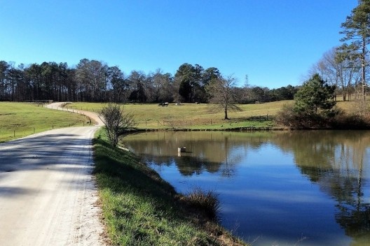 Acesso ao urbano através de parque emoldurado por árvores