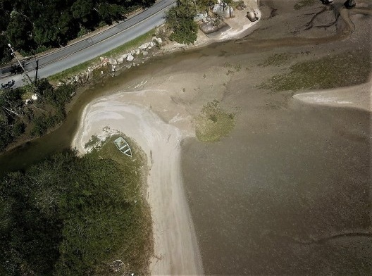 Em branco, no centro da foto, a antiga praia; a ilha de vegetação é uma colônia do capim-praturá, com duas plantas jovens de mangue-preto