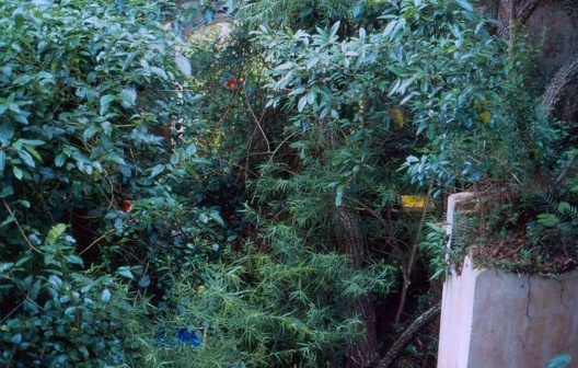 Silêncio, 1996 - Intervenção em um prédio em ruínas com ponte em madeira e caixas de madeira pintadas