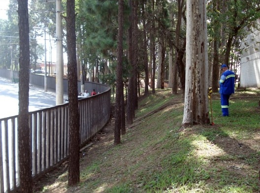 Reservatório de Cangaíba antes da execução do projeto