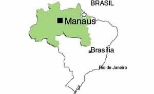 Figura 1 – Mapa do Brasil e a região norte do país, que abrange a Amazônia brasileira