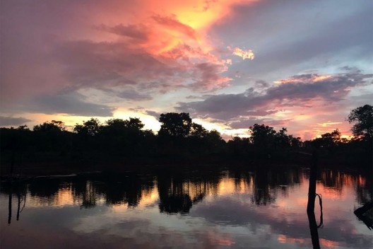 Nascer do sol no cerrado, 2021