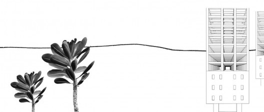 Brasília retomada pelo Cerrado